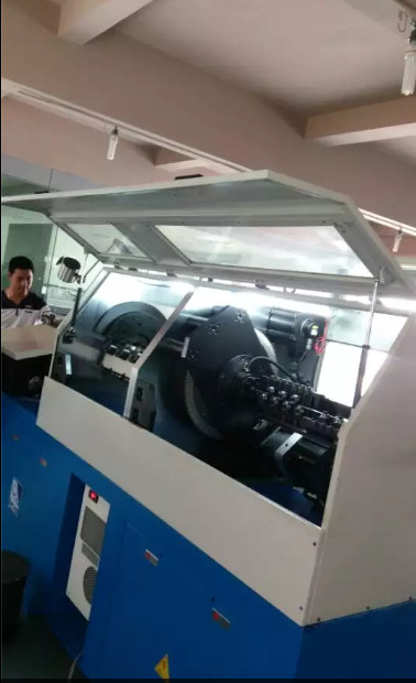 De lentestaal 2 - 5mm 3D CNC Stal die van de Draadbuigmachine zich met CNC Systeem vormen